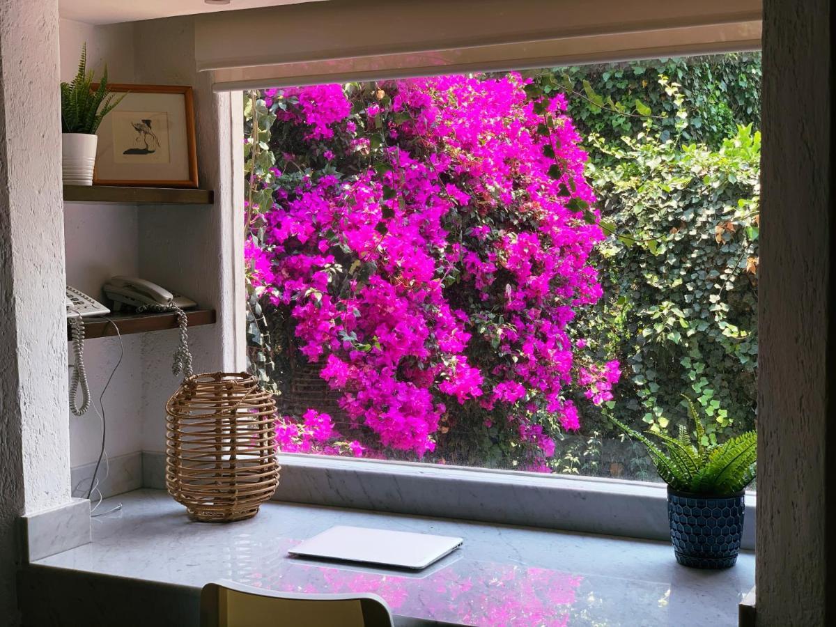 Casa San Angel Inn Boutique Charming House Mexico City Ngoại thất bức ảnh